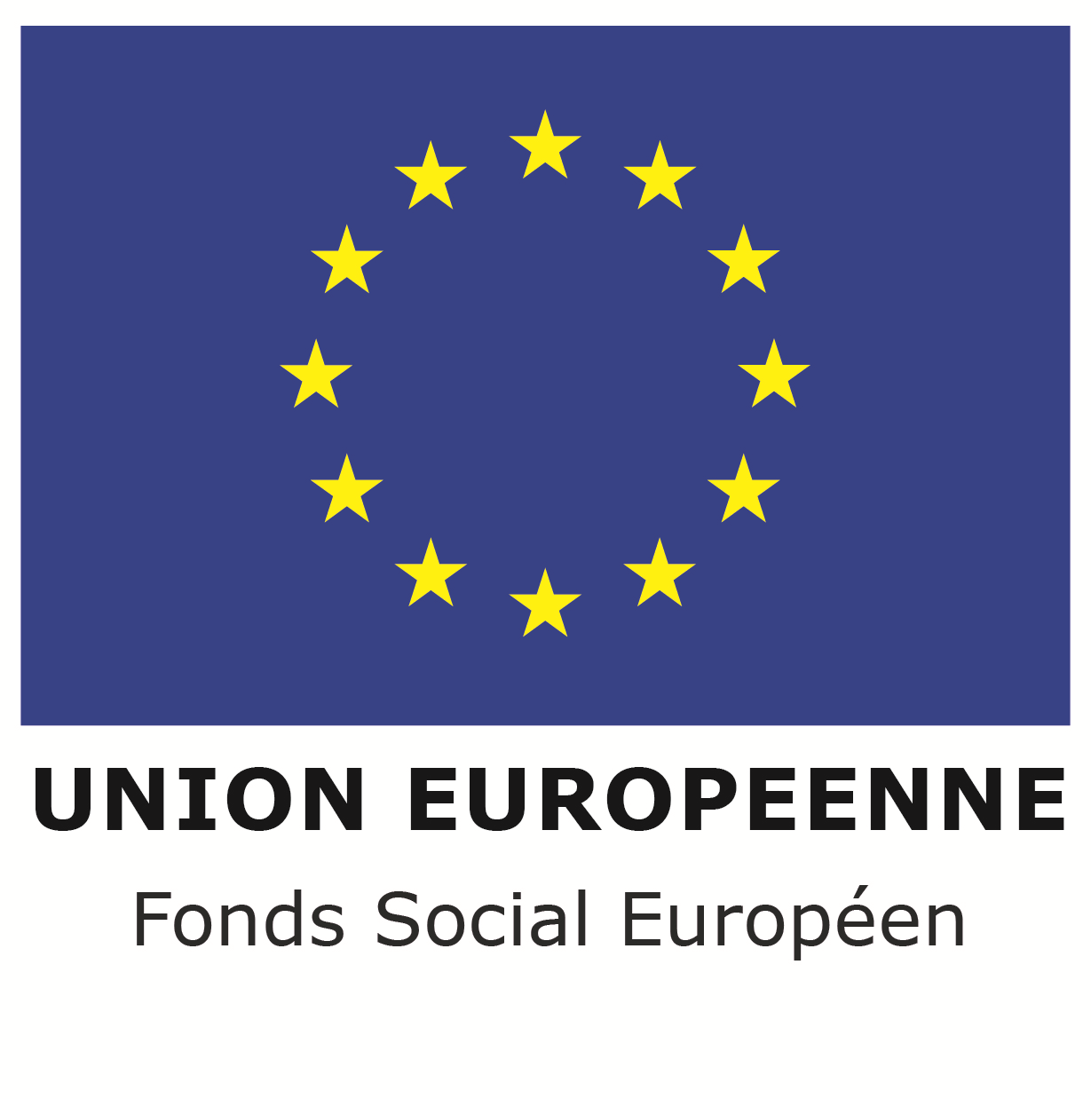 Logo-FSE-quadri_0